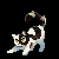 Olivepaw