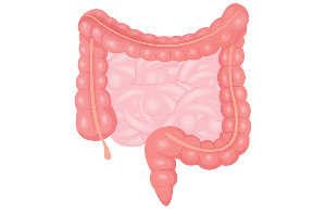 Intestine $1,729,500
