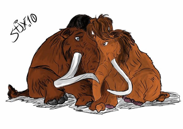 Manny x Ellie (Ice Age)