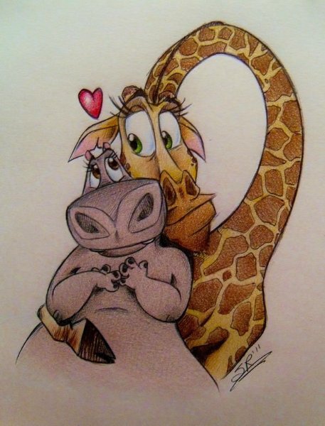 Melman x Gloria (Madagascar)