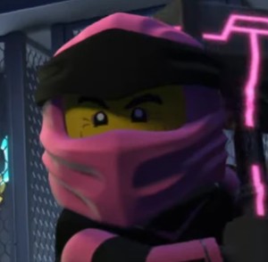 Pink Ninja