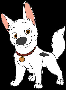 Bolt