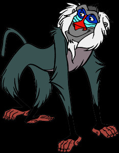 Rafiki