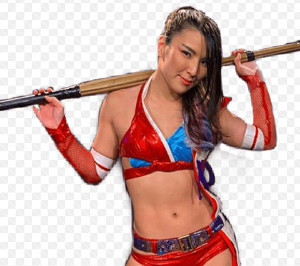 Hikaru Shida