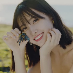 momo