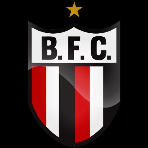 Botafogo-SP