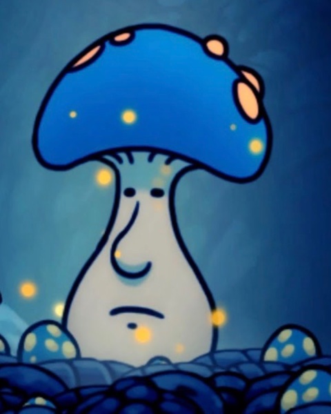 Mister mushroom