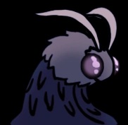 Seer