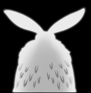Unnamed moth