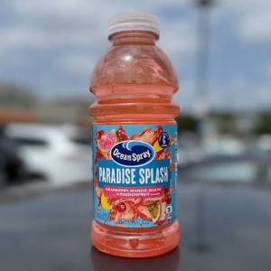 Paradise Splash
