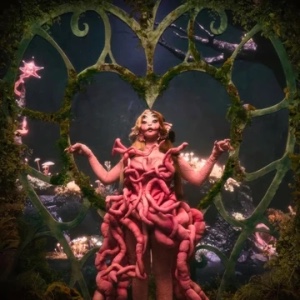 THE CONTORTIONIST