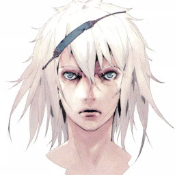 Brother Nier