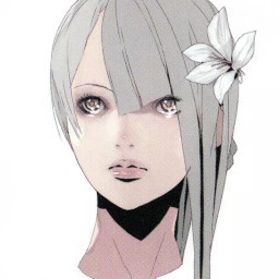 Kaine