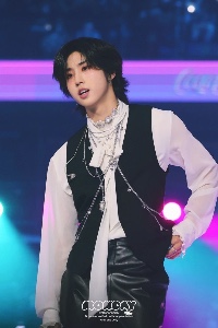 Black mullet