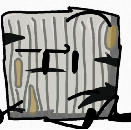 Birch