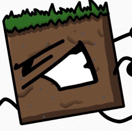 Dirt