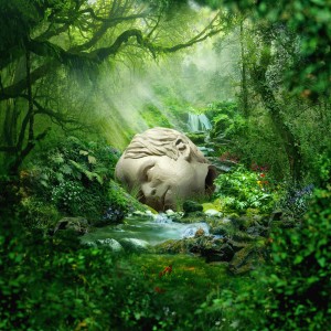 SZNS:Spring