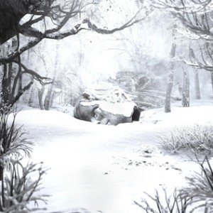 SZNS:Winter