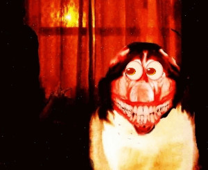 smile-dog-smile