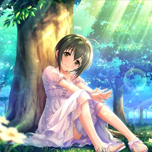 Miho Kohinata
