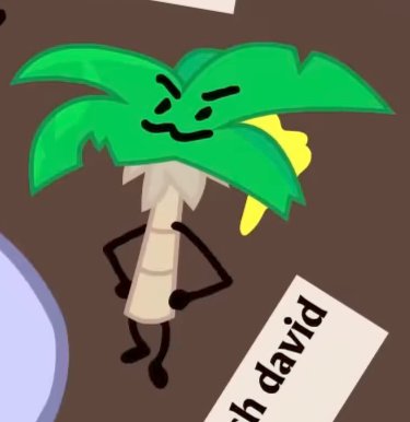 BFB 13/14