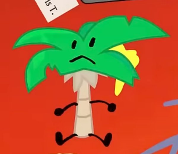 BFB 15