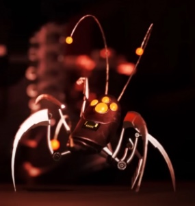 Bug