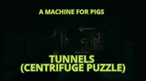 Pigs' Tunnels