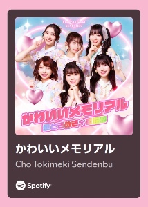 かわいいメモリアル