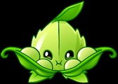 Appease-mint
