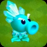 Ice Queen Pea