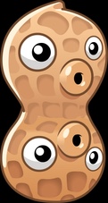 Pea-nut