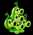 Pea Pod