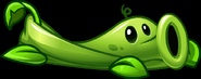 Pea Vine