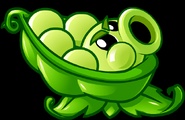 Sling Pea