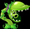 Snap Pea
