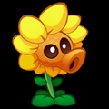 Solar Pea