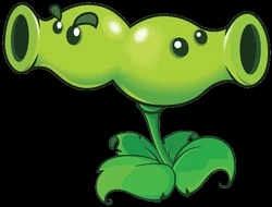 Split Pea