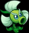 Whirlwind Pea