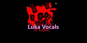 A Soul For A Leek (Luka Vocals)