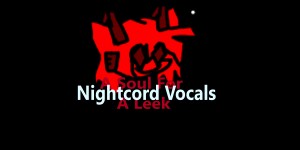 A Soul For A Leek (Nightcord Vocals)