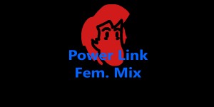 Power Link (Fem Mix.)