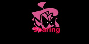 Soaring