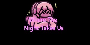 Where The Night Takes Us
