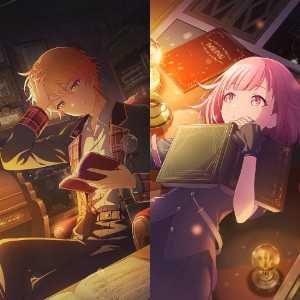Detective Partners..