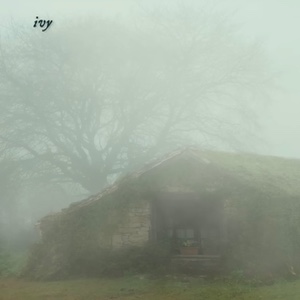 ivy