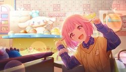 Sanrio Collab