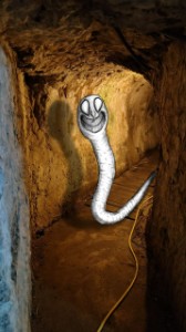 The Worm2