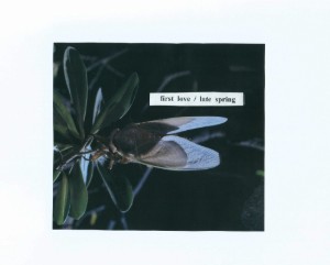 First Love/Late Spring
