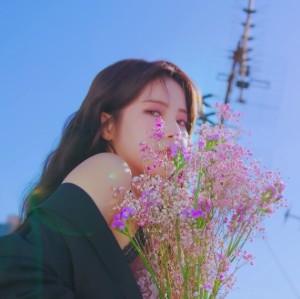 Wind Flower (Mamamoo)